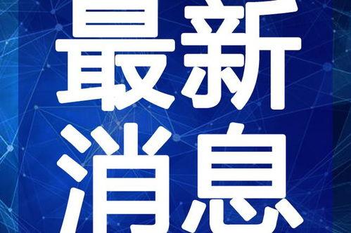 丰县最新爆料新闻视频,视频揭露惊人真相,事件引发社会关注